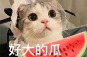 吃瓜娱乐的喵哥是谁啊视频,吃瓜娱乐界的神秘喵哥是谁？